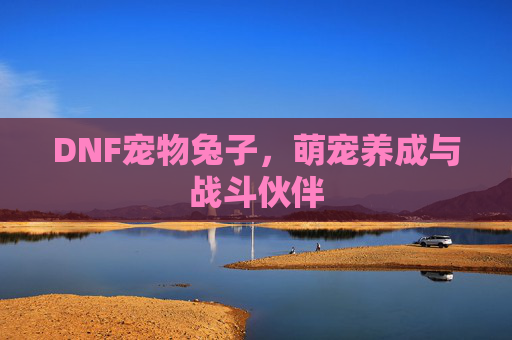 DNF宠物兔子，萌宠养成与战斗伙伴