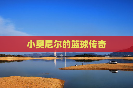 小奥尼尔的篮球传奇 小奥尼尔的篮球传奇
