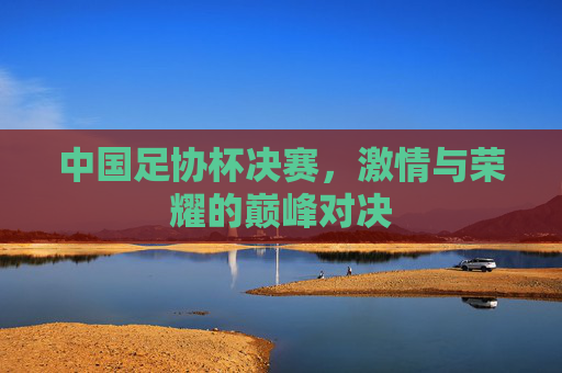 中国足协杯决赛,激情与荣耀的巅峰对决 中国足协杯决赛,激情与荣耀的巅峰对决