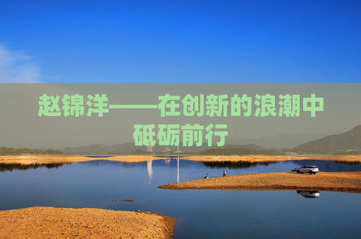 赵锦洋——在创新的浪潮中砥砺前行