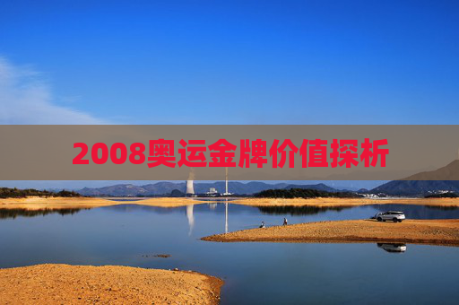 2008奥运金牌价值探析