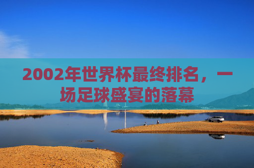 2002年世界杯最终排名，一场足球盛宴的落幕