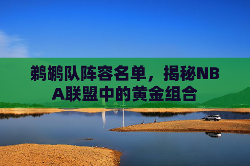 鹈鹕队阵容名单,揭秘NBA联盟中的黄金组合 鹈鹕队阵容名单,揭秘NBA联盟中的黄金组合