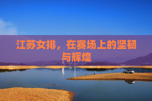江苏女排，在赛场上的坚韧与辉煌