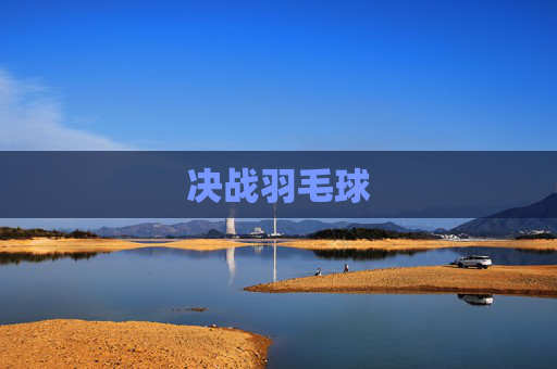 决战羽毛球