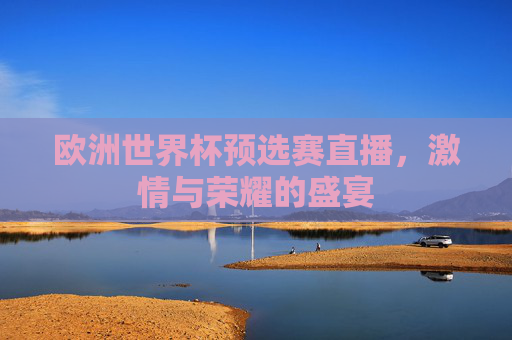 欧洲世界杯预选赛直播，激情与荣耀的盛宴