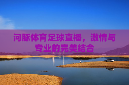 河豚体育足球直播，激情与专业的完美结合