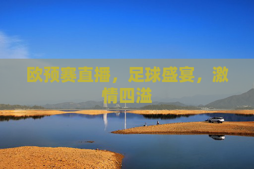 欧预赛直播，足球盛宴，激情四溢