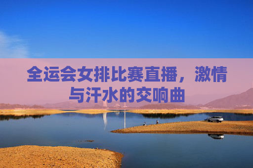 全运会女排比赛直播,激情与汗水的交响曲 全运会女排比赛直播,激情与汗水的交响曲