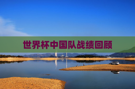世界杯中国队战绩回顾
