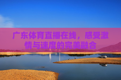 广东体育直播在线，感受激情与速度的完美融合