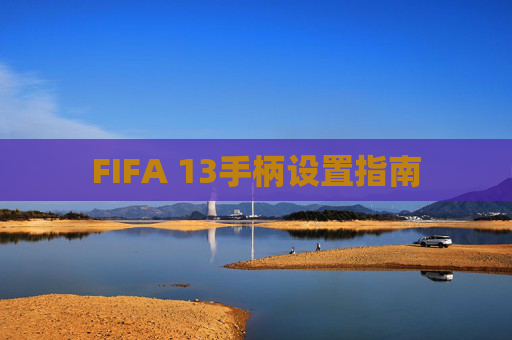 FIFA 13手柄设置指南