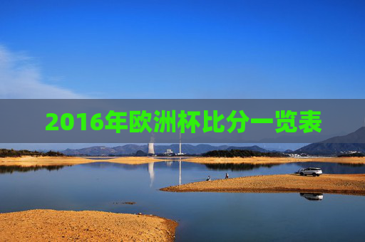 2016年欧洲杯比分一览表