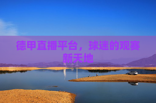 德甲直播平台，球迷的观赛新天地