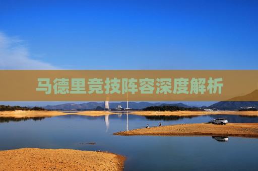 马德里竞技阵容深度解析