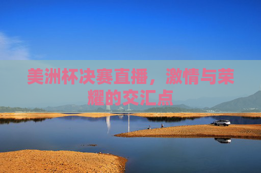 美洲杯决赛直播，激情与荣耀的交汇点