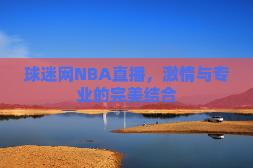 球迷网NBA直播，激情与专业的完美结合