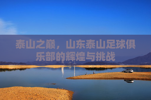 泰山之巅，山东泰山足球俱乐部的辉煌与挑战