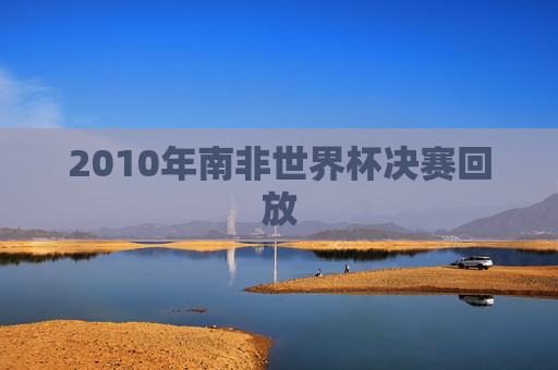 2010年南非世界杯决赛回放