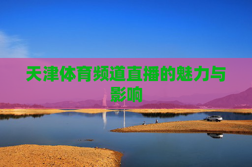 天津体育频道直播的魅力与影响