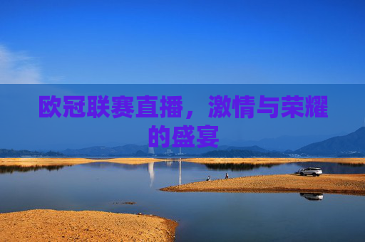 欧冠联赛直播，激情与荣耀的盛宴