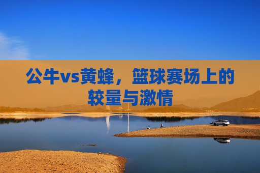 公牛vs黄蜂，篮球赛场上的较量与激情