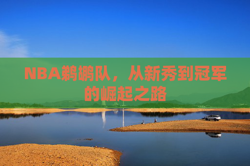 NBA鹈鹕队，从新秀到冠军的崛起之路