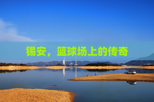 锡安，篮球场上的传奇