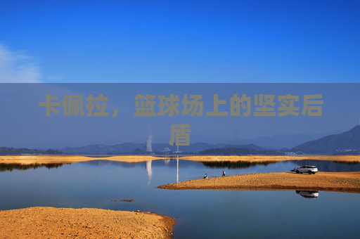 卡佩拉，篮球场上的坚实后盾