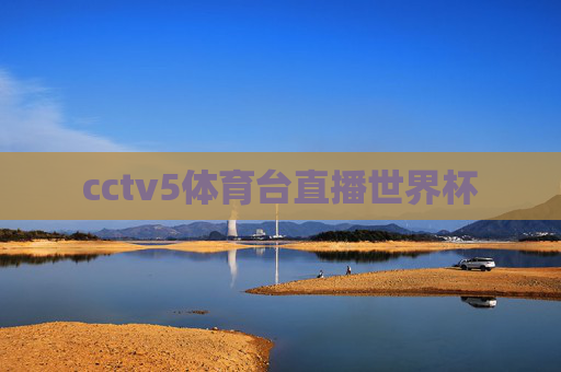 cctv5体育台直播世界杯