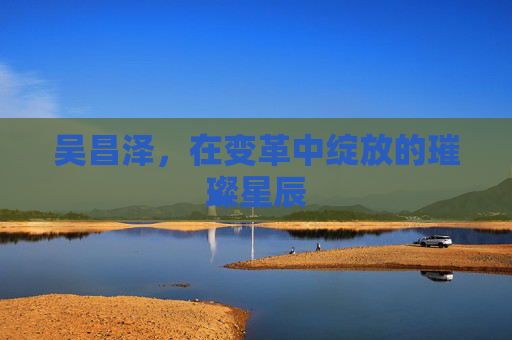吴昌泽，在变革中绽放的璀璨星辰