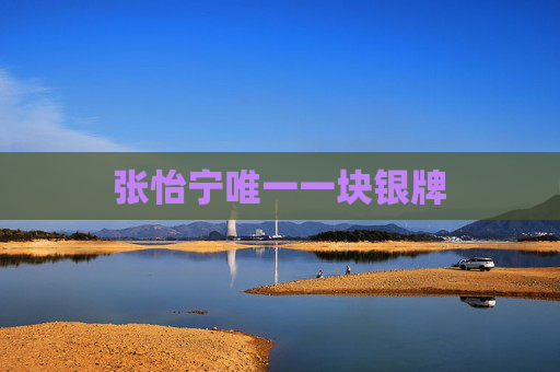 张怡宁唯一一块银牌