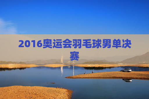 2016奥运会羽毛球男单决赛 2016奥运会羽毛球男单决赛