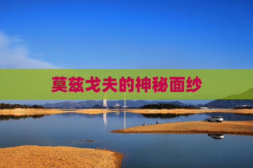 莫兹戈夫的神秘面纱
