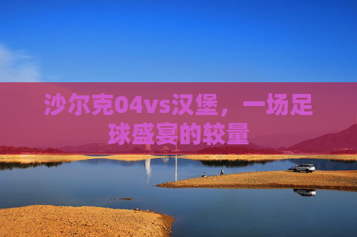 沙尔克04vs汉堡，一场足球盛宴的较量