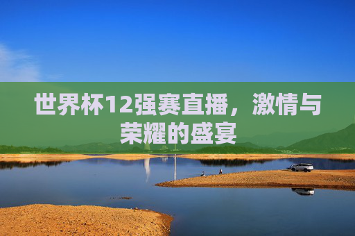 世界杯12强赛直播，激情与荣耀的盛宴