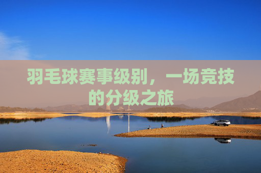 羽毛球赛事级别，一场竞技的分级之旅