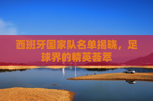 西班牙国家队名单揭晓，足球界的精英荟萃