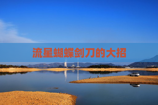 流星蝴蝶剑刀的大招