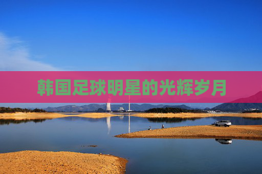 韩国足球明星的光辉岁月