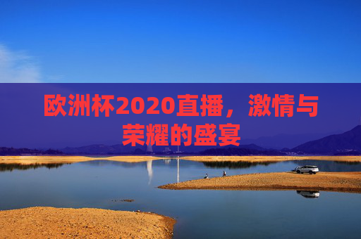 欧洲杯2020直播，激情与荣耀的盛宴