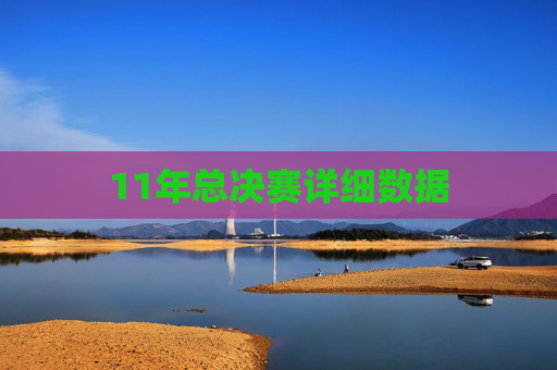 11年总决赛详细数据