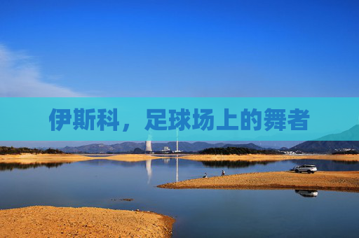 伊斯科，足球场上的舞者