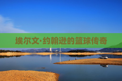 埃尔文·约翰逊的篮球传奇