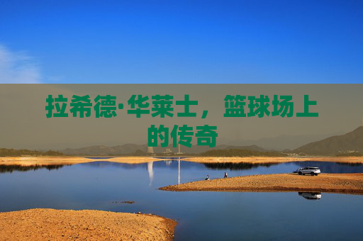 拉希德·华莱士，篮球场上的传奇
