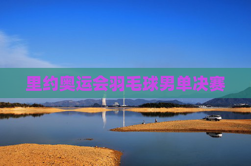 里约奥运会羽毛球男单决赛