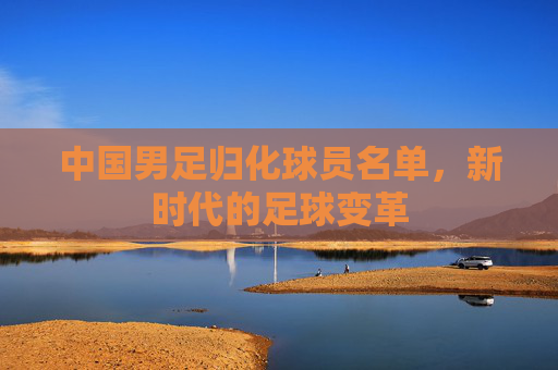 中国男足归化球员名单，新时代的足球变革