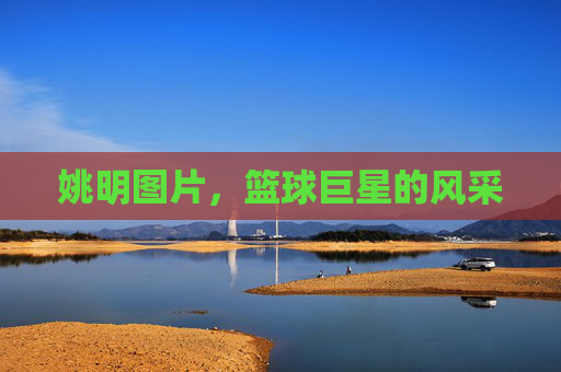 姚明图片，篮球巨星的风采