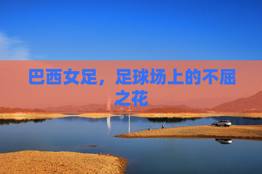 巴西女足，足球场上的不屈之花
