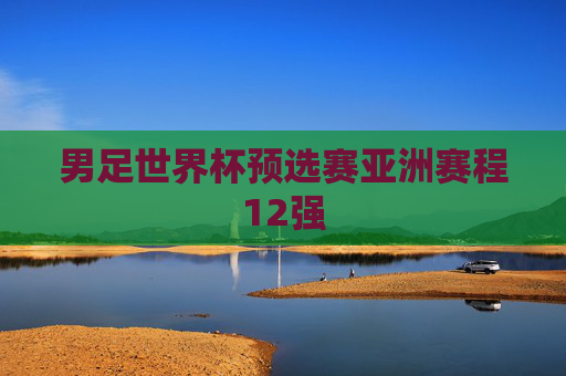 男足世界杯预选赛亚洲赛程12强